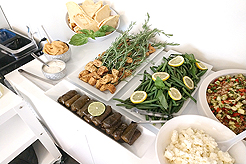 PERKINS WILL - MULTI-VENDOR